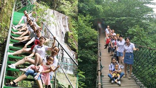 17.6度橙子是什么意思