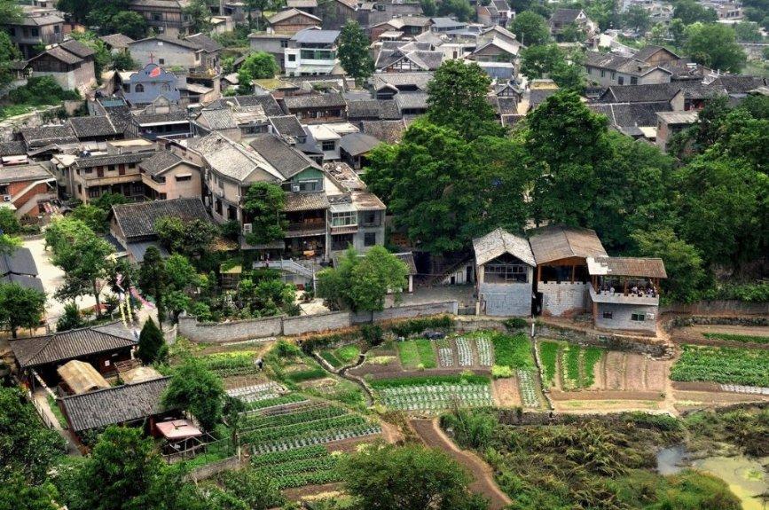国足今日下午抵达北京 扬科维奇直接返回塞尔维亚